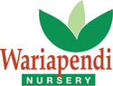 Wariapendi Native Nursery