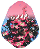 Leptospermum 'Rudolph'