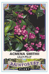 Lilly Pilly (Acmena smithii)