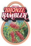 Grevillea 'Bronze Rambler'