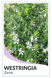 Westringia fruticosa 'Zena'
